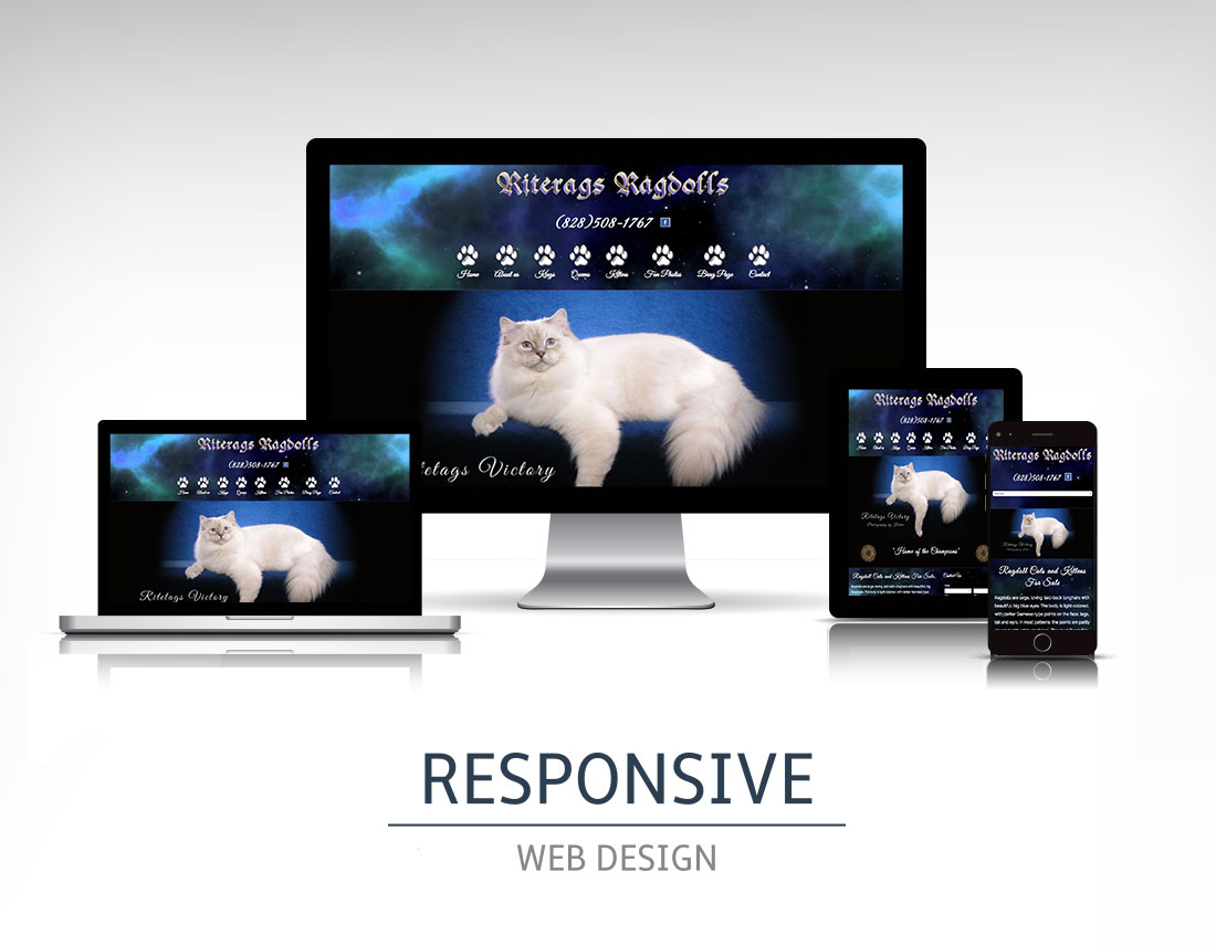 Responsive Picture